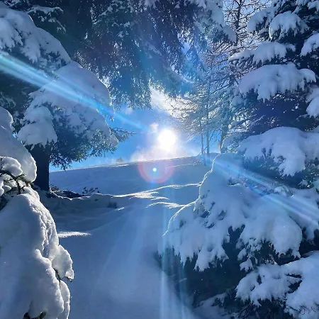 Mountain View By Managers 公寓 *