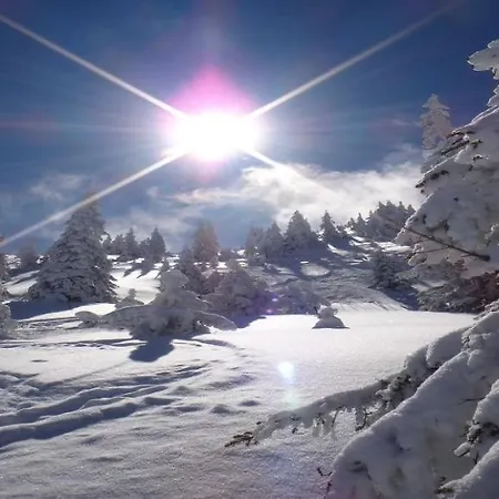 Apartamento Mountain View By Managers *