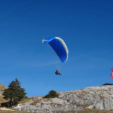 Mountain View By Managers