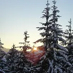 Mountain View By Managers Apartamento Kirchberg in Tirol
