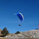 Mountain View By Managers